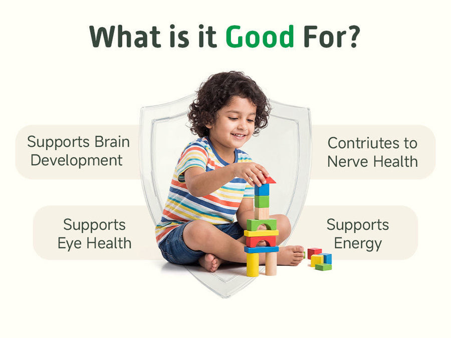 DHA Omega3 Brain Gummies (60N)